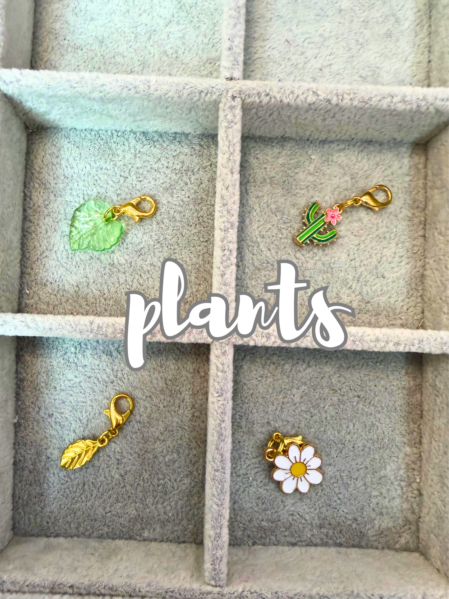 The Plants