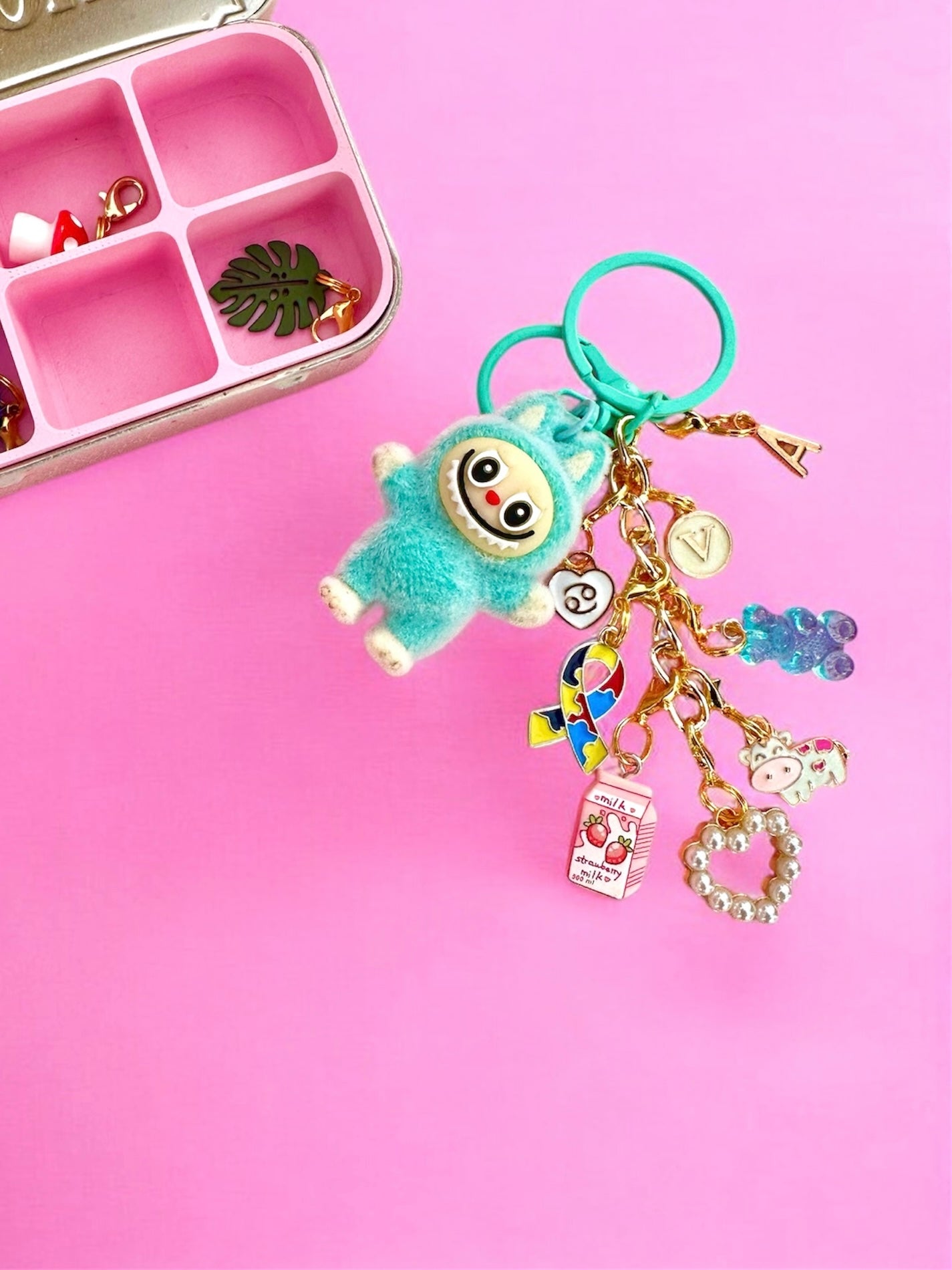 INDIVIDUAL CHARMS